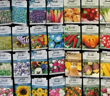 Garden seeds Selection of garden seeds