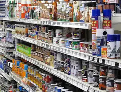 Paints and varnishes View of paints and varnishes