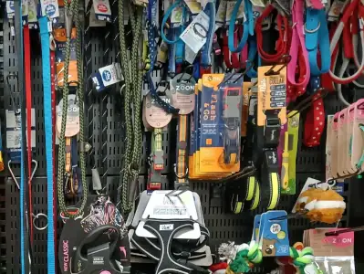 Dog leads Selection of dog leads