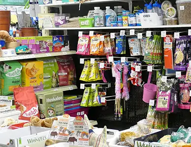 Cat food & treats Selection of cat food and treats