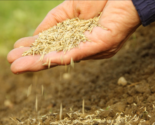 Get Your Lawn & Garden Ready for the Sun